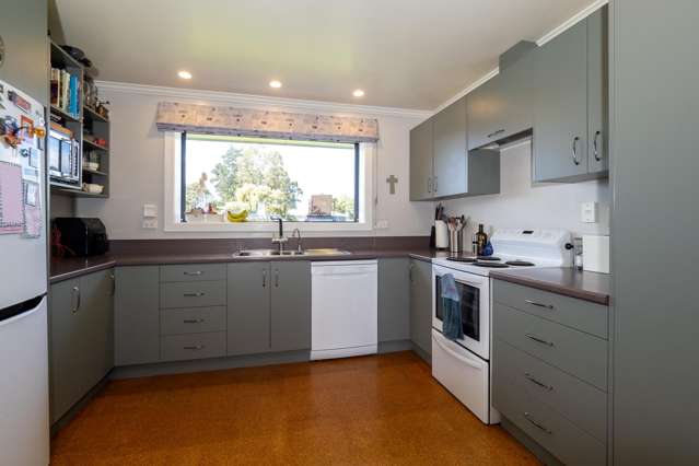 46 Grove Street Tinwald_1