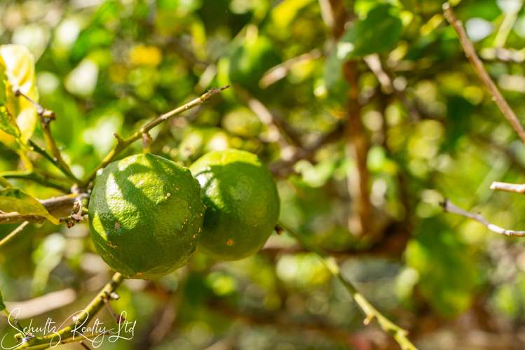 1056 State Highway 12 Maungaturoto_34