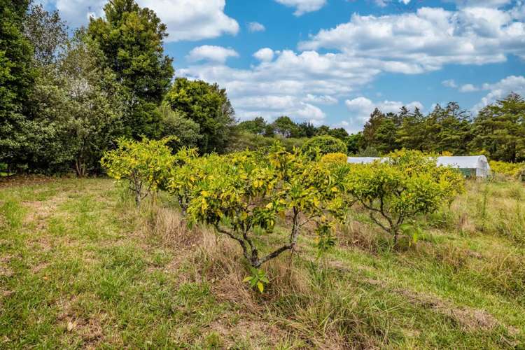 66a Rataroa Road Kaeo_22