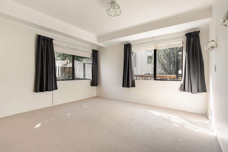19 Ninth Avenue Tauranga_7