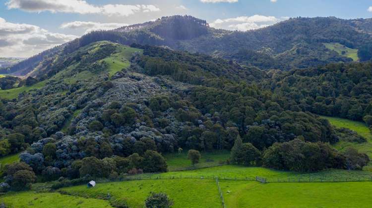 63b Poyner Road Makarau_13