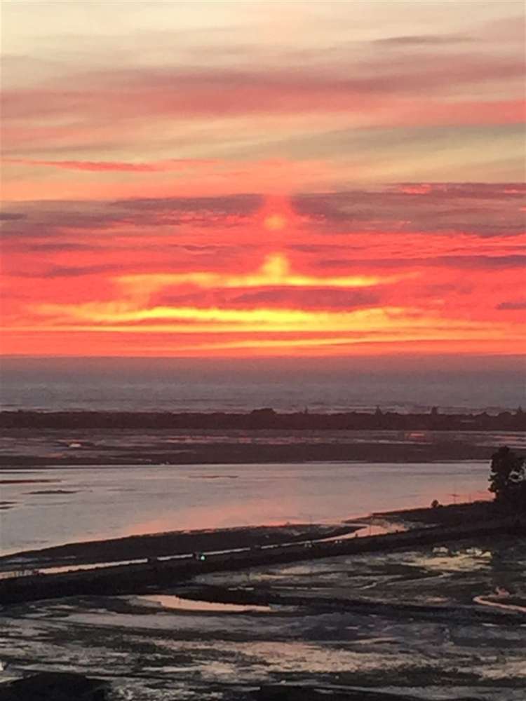 64 Mount Pleasant Road Mount Pleasant_26