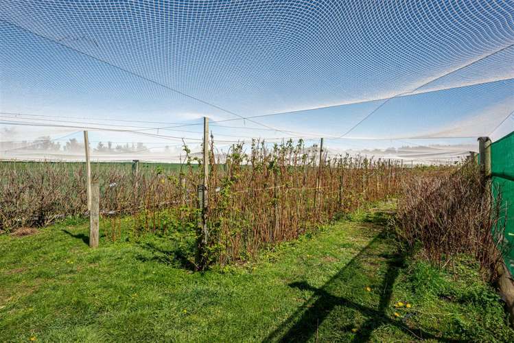 125 Hodgsons Road Loburn_23