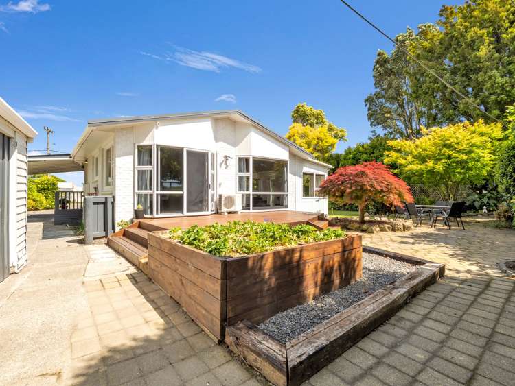 81 College Road Edgecumbe_23