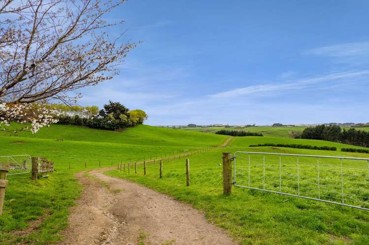 2A Ropata Street Hawera_22