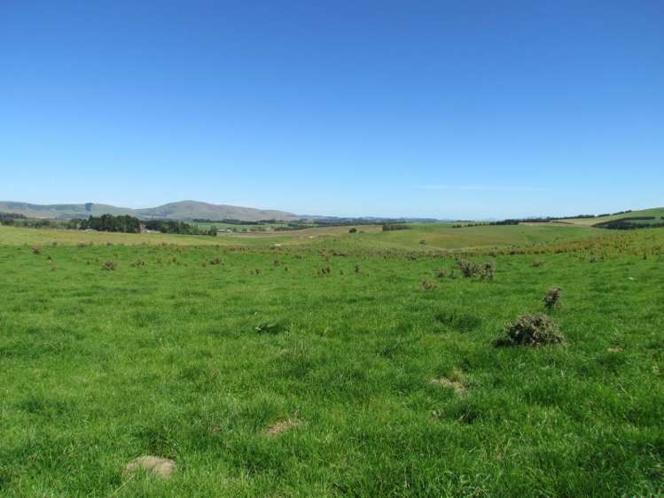 219 Beacon Hill Road Clinton and Surrounds_16