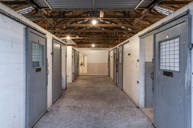 91 Forrest Road Cambridge_8