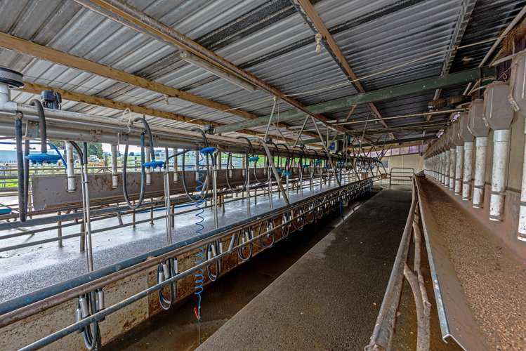 163 Makoura Road Apiti_10