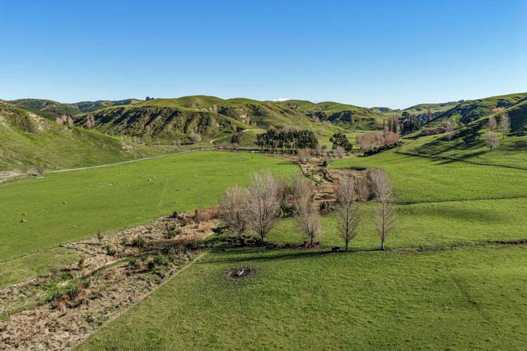 717k Puketitiri Road Puketapu_41