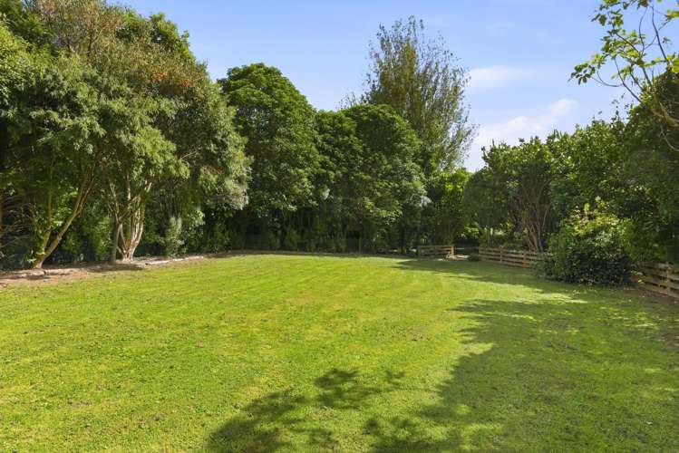 132 Maui Pomare Road Nikau Valley_10