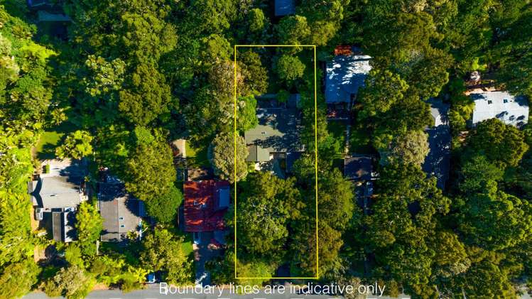 54 Waima Crescent Titirangi_3