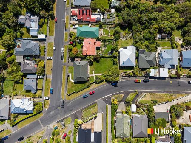 38 Spottiswoode Street Andersons Bay_1