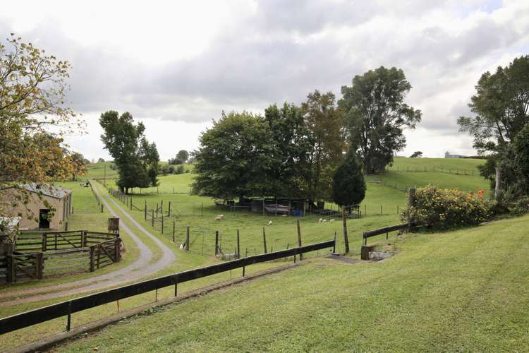 459 State Highway 5 Tapapa_13