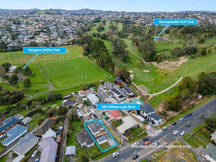 685 Hillsborough Road Mount Roskill_6