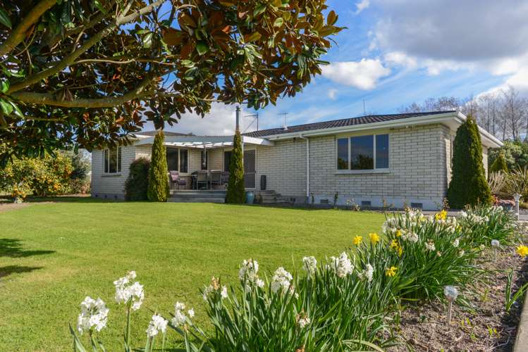 23 Johns Road Jervoistown_20