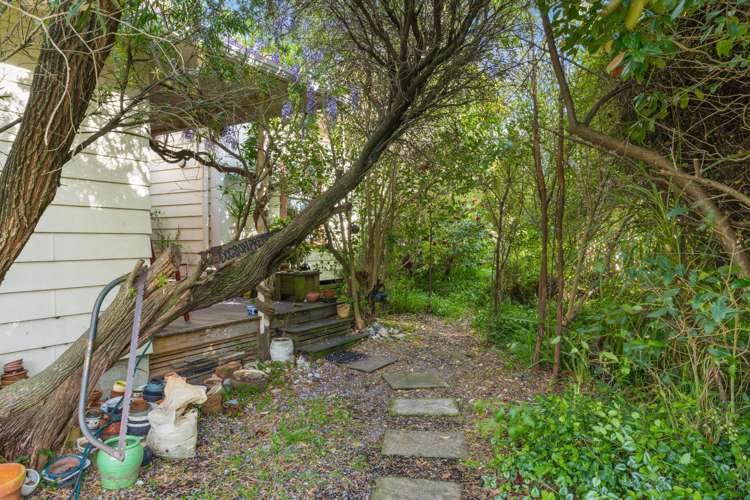 20 Buller Street Picton_10