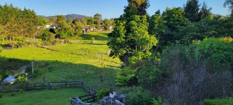Address withheld Waihi_10