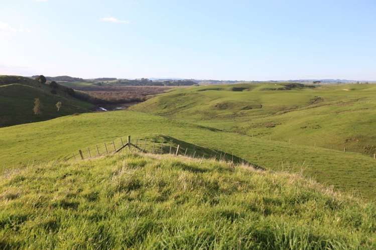 992c Glen Murray Road Rangiriri_10