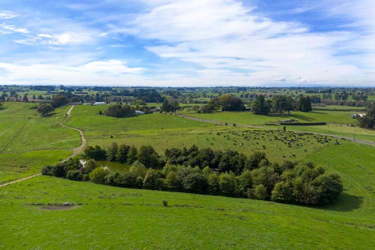 18 Hodgson Road Te Pahu_9