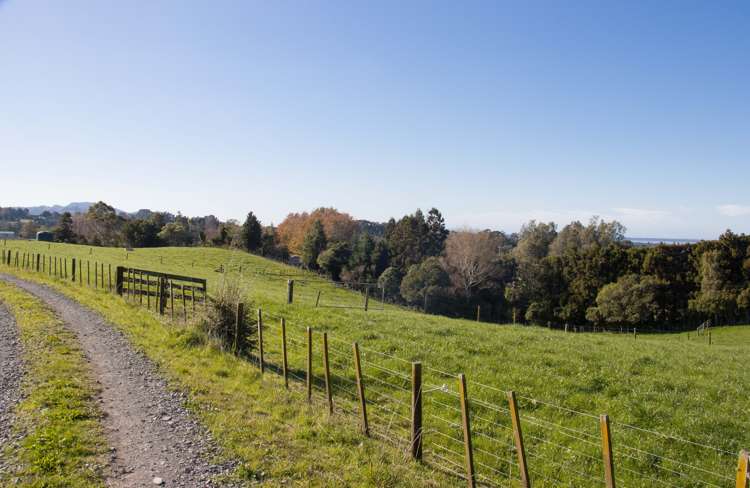 291 Rea Road Hauraki Surrounds_13