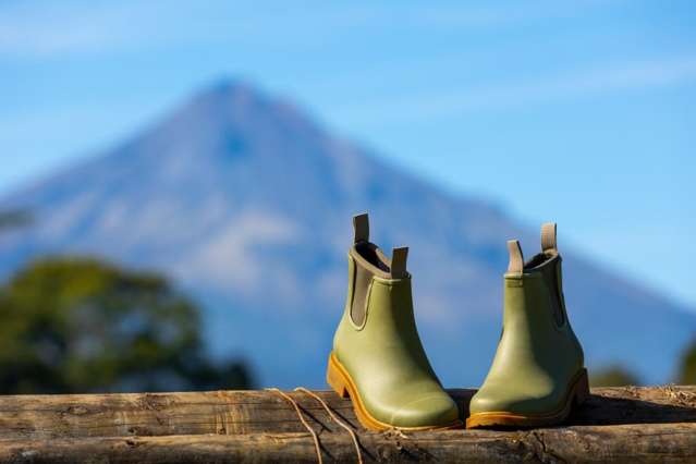 A Natural Kiwi Haven