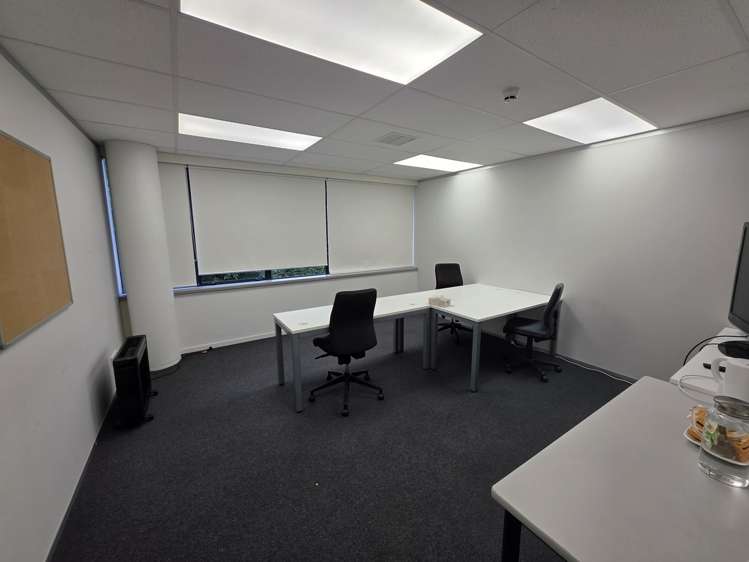 32 Manukau Road Epsom_9