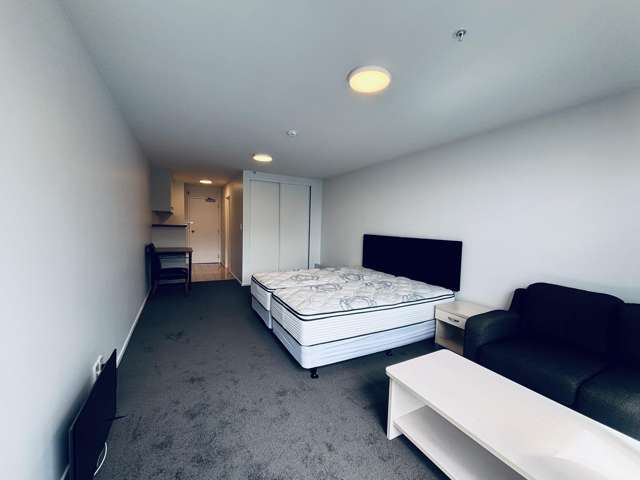 17e/3 Whitaker Place Grafton_3