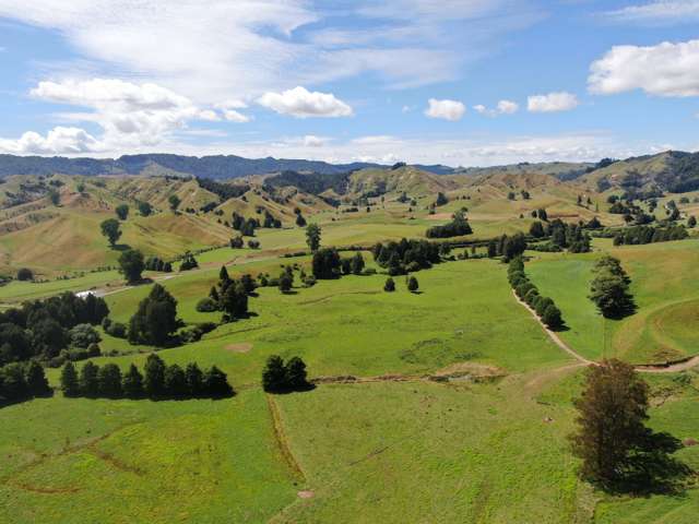 168 Matiere Road Aria_2