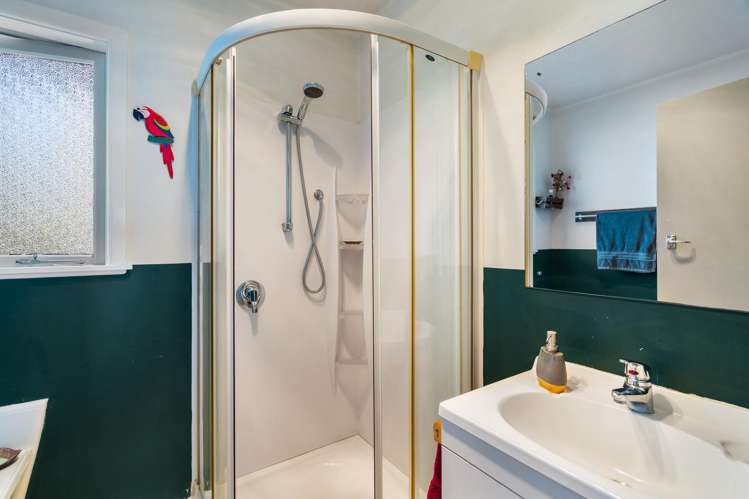 7 Alexander Avenue Onekawa_11