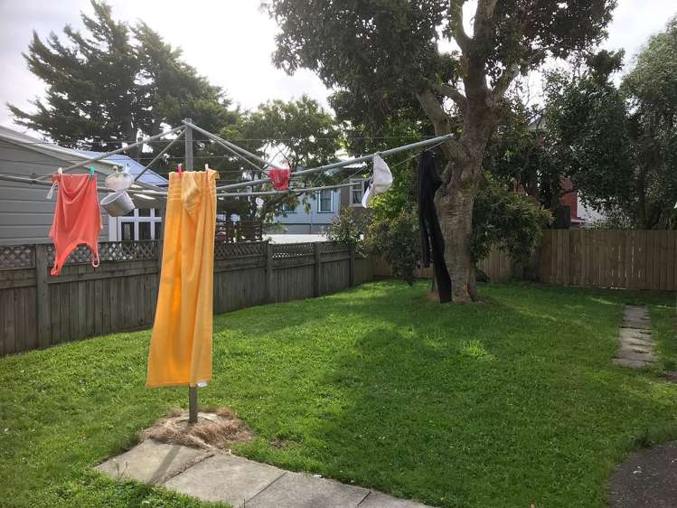 6 Levy Street Mount Victoria_18