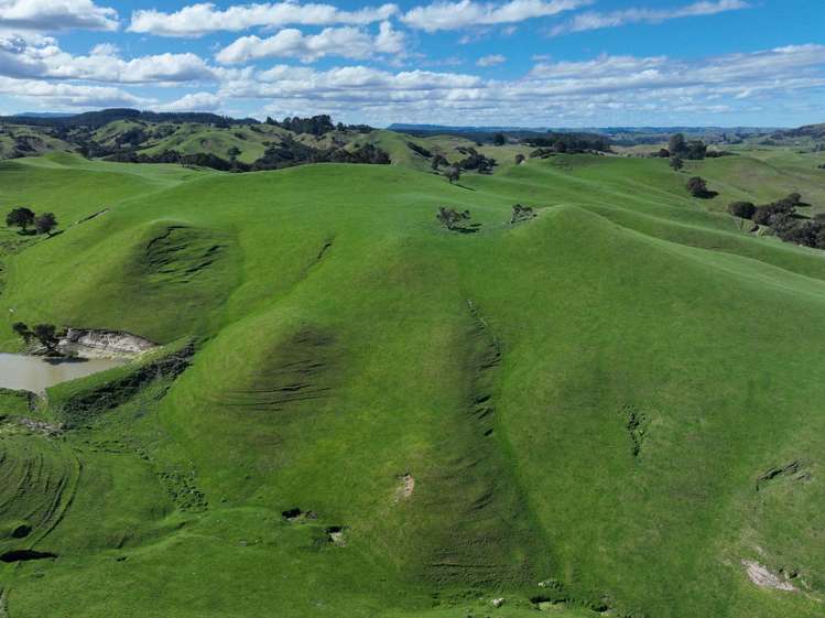 2829 Puketitiri Road Patoka_4