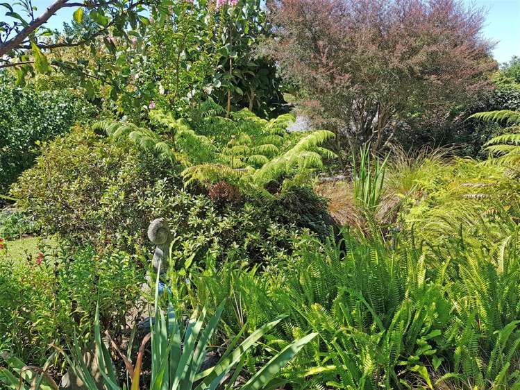 36 Macmillan Street Katikati_18
