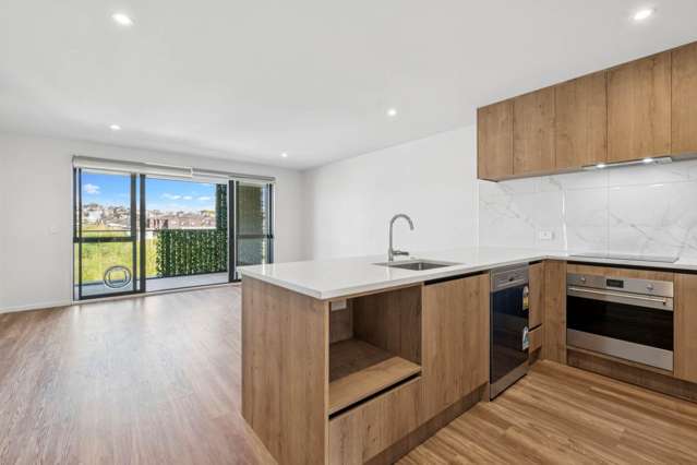 203/3 Dishys Road Flat Bush_4