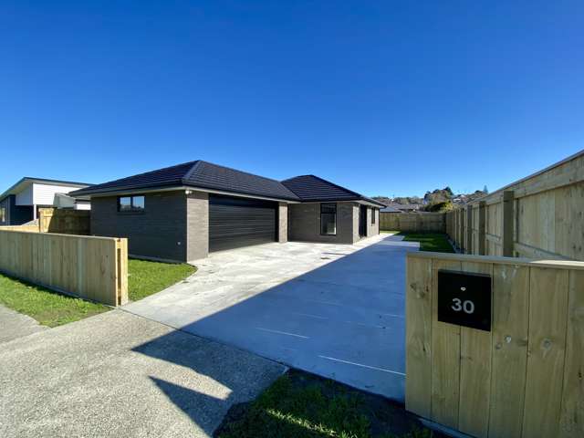 30 Lethbridge Feilding_1