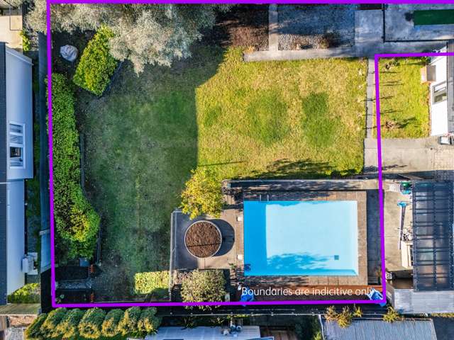 910A Ferguson Street Akina_2