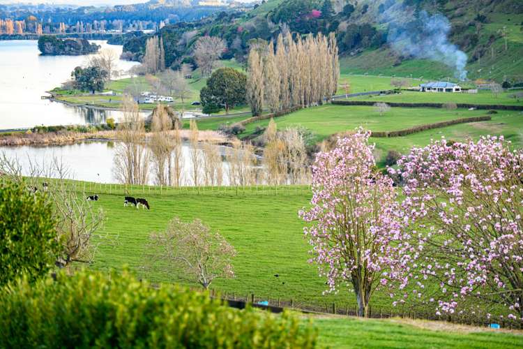 2400 Maungatautari Road Cambridge_5
