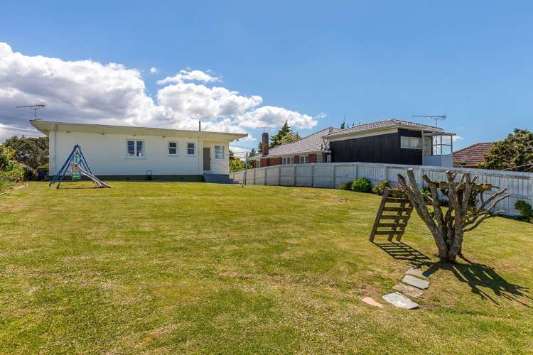 110 Seabrook Avenue New Lynn_11