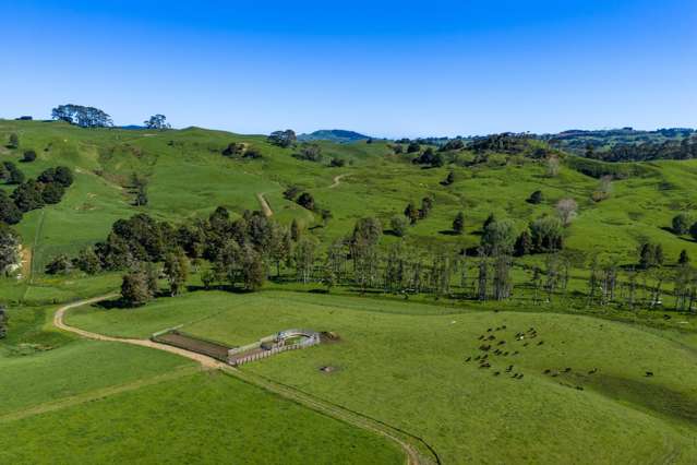 246 Allen and Eyre Road Onewhero_1