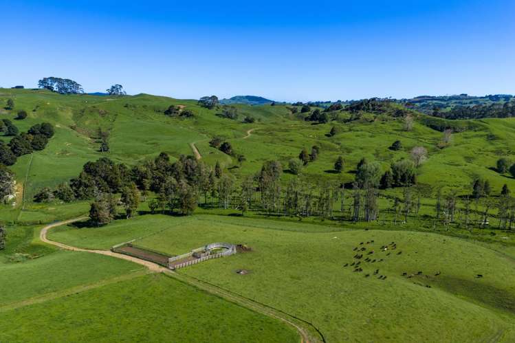 246 Allen and Eyre Road Onewhero_1