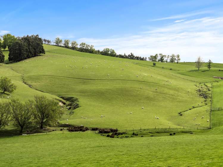 93 Baker Road, 66 Waihola Hill Road and Berwick Road Clarendon_7