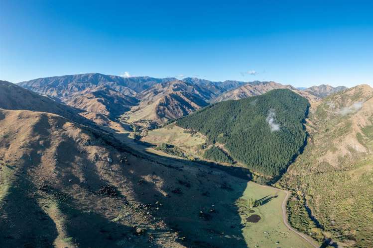 1180 Tyntesfield Road Waihopai Valley_9