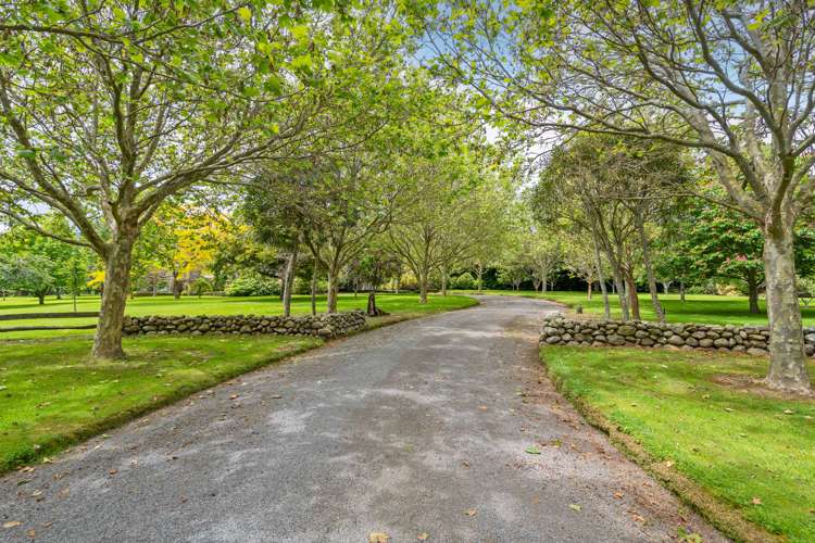 147 Millers Road Kopuaranga_17