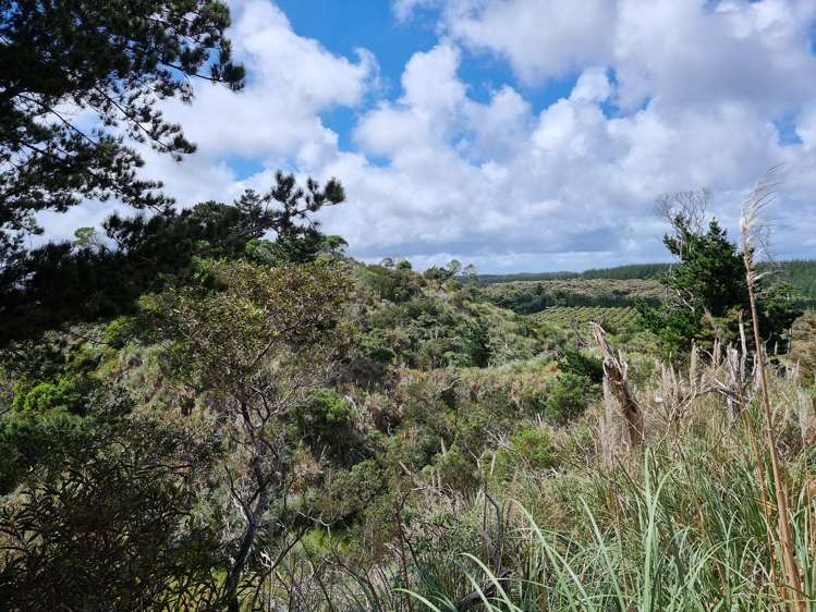 71 Hukatere Road Pukenui_21