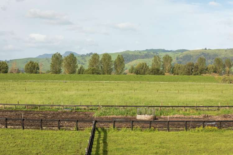 108 Old Netherton Rd Netherton Paeroa Paeroa_43