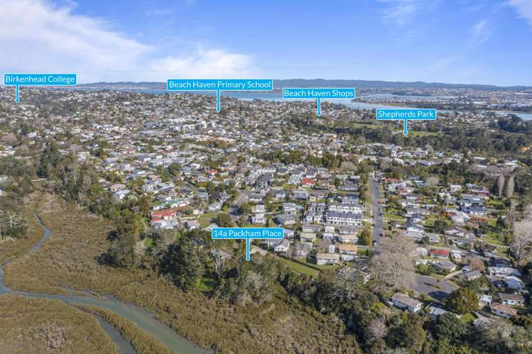 14a Packham Place Beach Haven_17