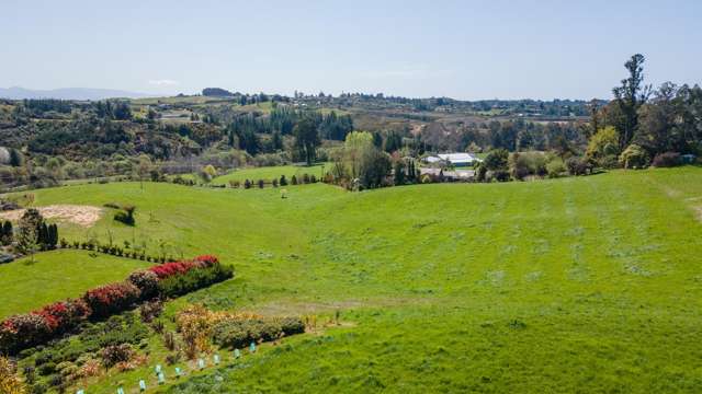 171 Dominion Road Mahana_2