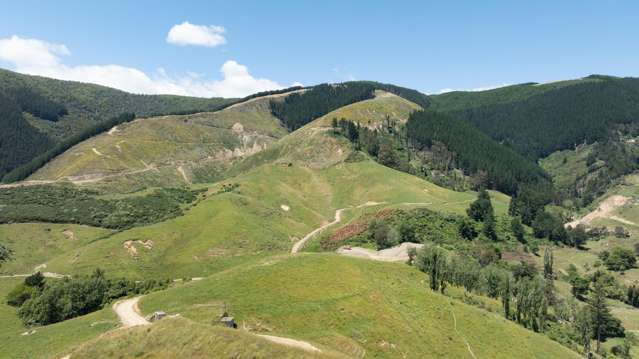 Woolshed Drive - Stage 8 Stoke_1