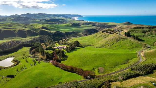 'Cape South' - 55 Waipuka Road Waimarama_4