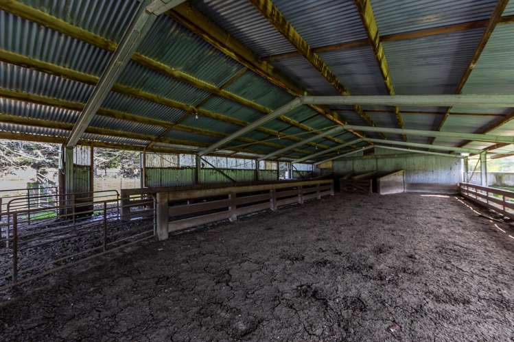 773 Cat Hill Road Cheviot_15