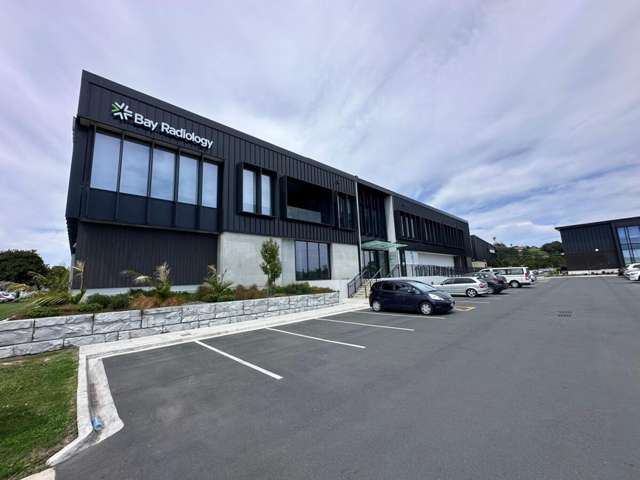 230 Seventeenth Avenue Tauranga Central_2